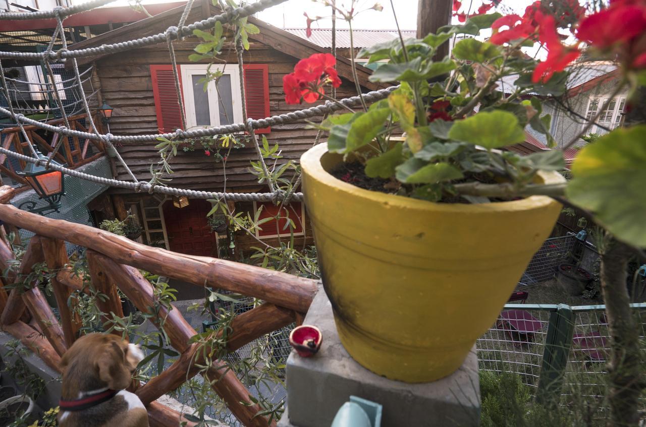 Meena Bagh Šimla Exteriér fotografie