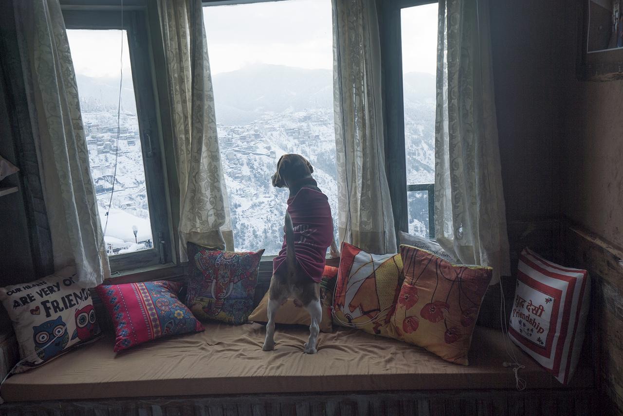 Meena Bagh Šimla Exteriér fotografie