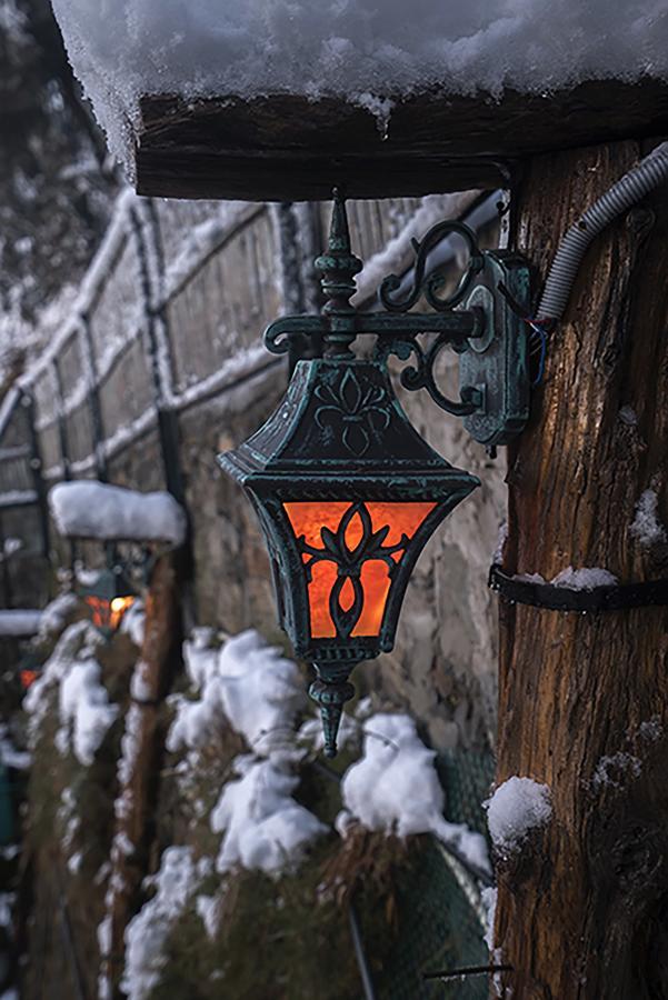 Meena Bagh Šimla Exteriér fotografie